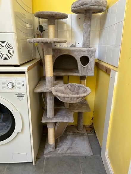 Photo of free Cat play gym (Little Singleton FY6) #1