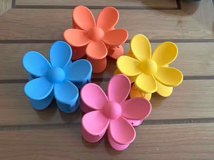 Photo of free 4x Large flower hair clips (Dunstable LU5) #1