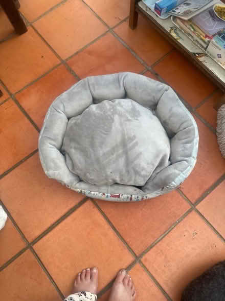 Photo of free Nearly new bed for cat or small dog (Heysham LA3) #2