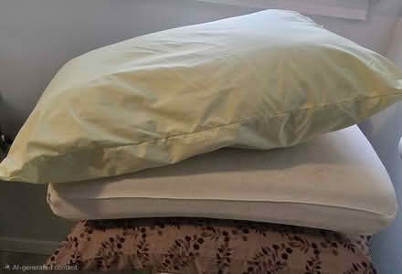 Photo of free Pillows (Lake city area) #1