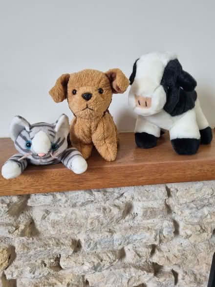 Photo of free Soft toys - collectables? (Ba14) #1