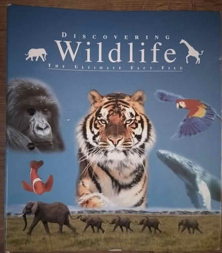 Photo of free Wildlife Fact File (Odd Down) #2