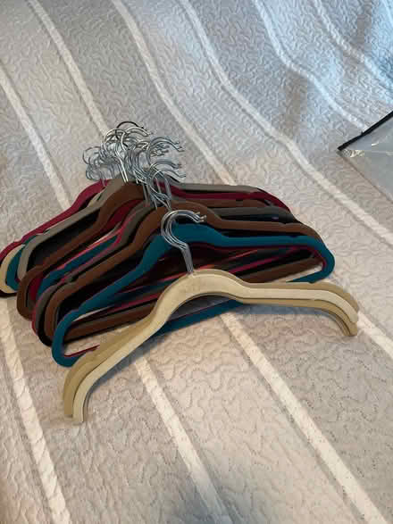 Photo of free Felt hangers (East Weymouth) #1