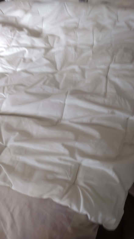 Photo of free Duvet king size (Carlisle CA1) #1