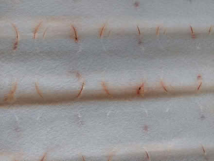 Photo of free Single mattress (190cm x 90cm) (Summertown OX2) #4