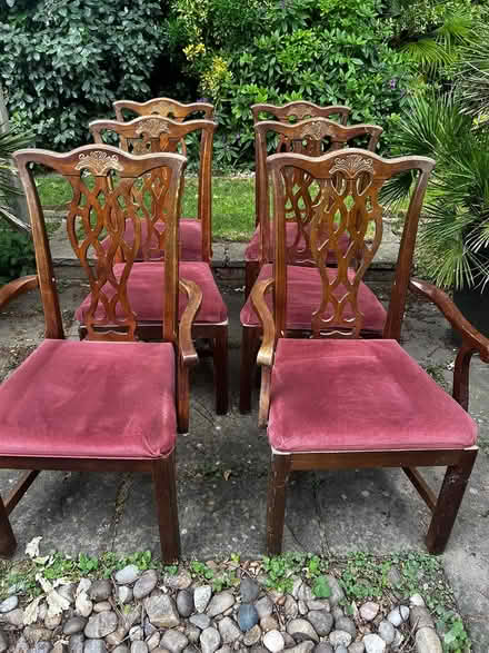 Photo of free Dining room chairs (Billericay CM12) #3