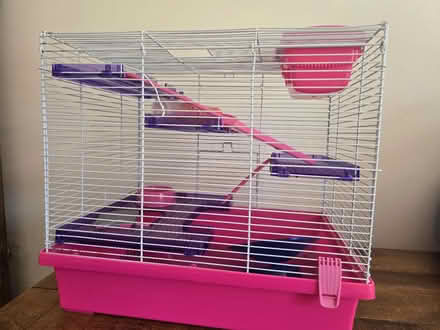 Photo of free Small hamster cage (Ambergate DE56) #1