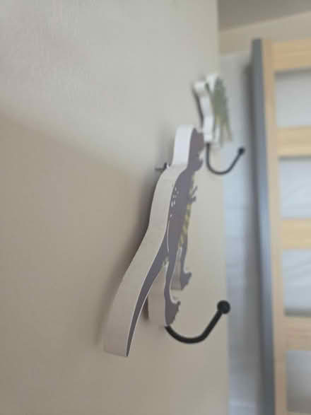 Photo of free Kids X3 dinosaur coat pegs (Great Leighs CM3) #2