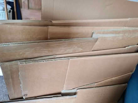 Photo of free Packing Boxes Large, Flattened (Hartington Road BN2) #4