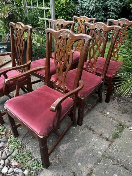 Photo of free Dining room chairs (Billericay CM12) #2