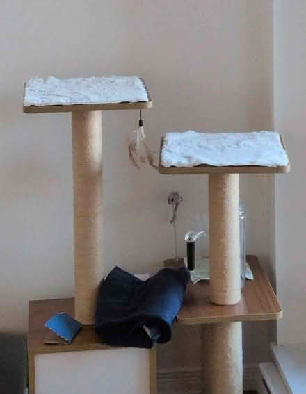 Photo of free cat tree (Quickie on Parkdale & Scott) #1