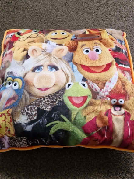 Photo of free Cushion (Currie EH14) #1