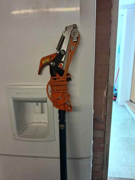 Photo of free 8ft branch cutter (Wollaton ng8) #1