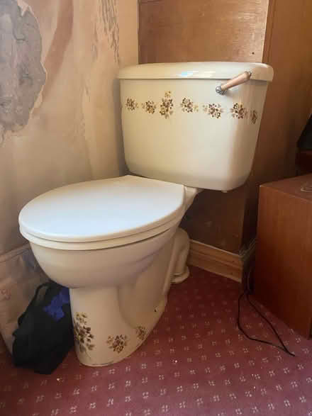 Photo of free 1960s toilet (Barnoldswick BB18) #1