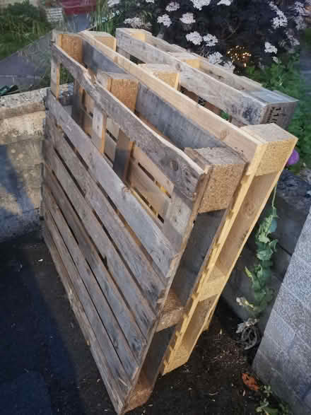 Photo of free 3 wooden pallets (Lower Weston BA1) #1