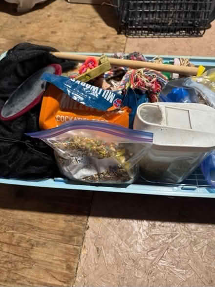 Photo of free Large bird cage for cockatiel (North west) #3