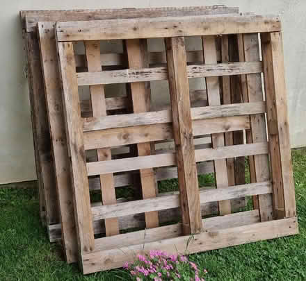 Photo of free Pallets (Warden Hill GL51) #1