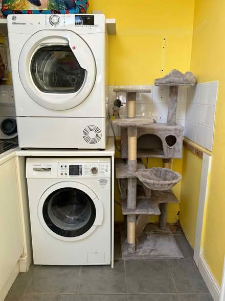 Photo of free Cat play gym (Little Singleton FY6) #2