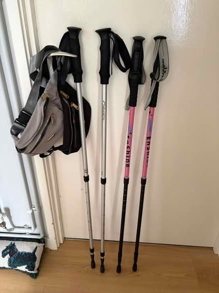 Photo of free Walking poles and bum bags (Woodbridge Suffolk) #1