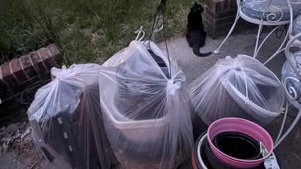 Photo of free Plastic pots Lrg sm 3+ hanging pots (Lansing Willow& Waverly) #1