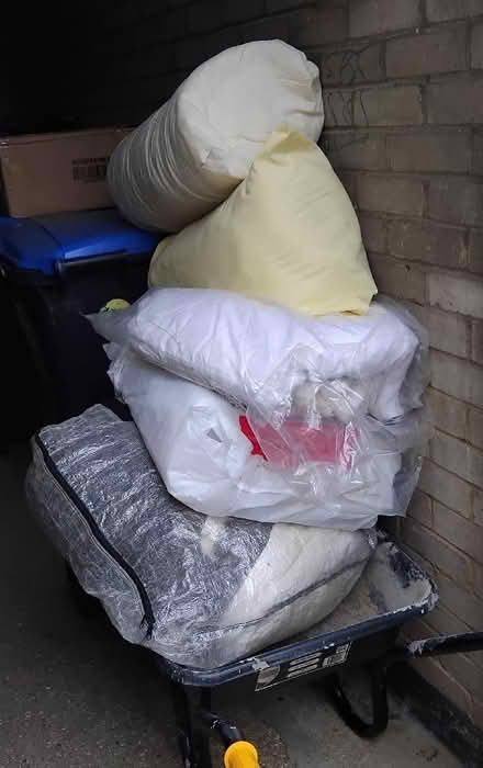 Photo of free Duvets 5 large (Panshanger AL7) #1