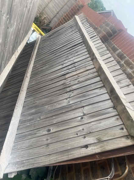Photo of free Fence panels (TW19) #2