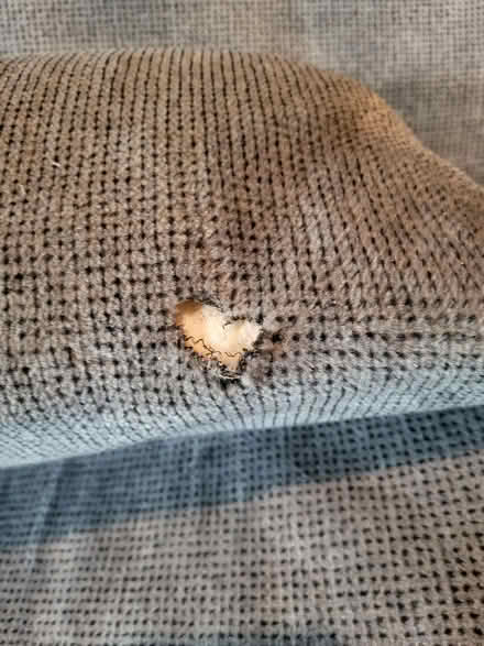 Photo of free Sofa bed - blue/gray color (Kemptville/Merrickville) #3