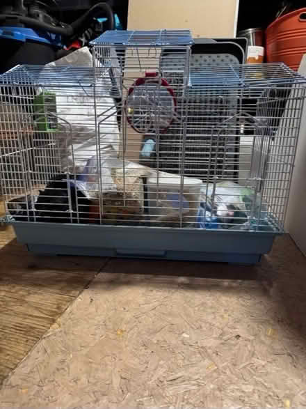 Photo of free Large bird cage for cockatiel (North west) #1