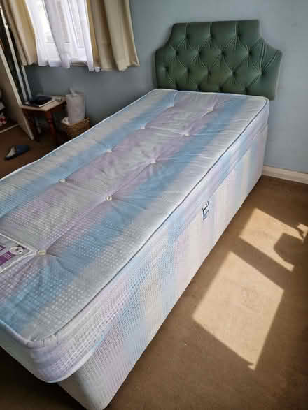 Photo of free Single bed with another bed underneath (Great Baddow CM2) #4