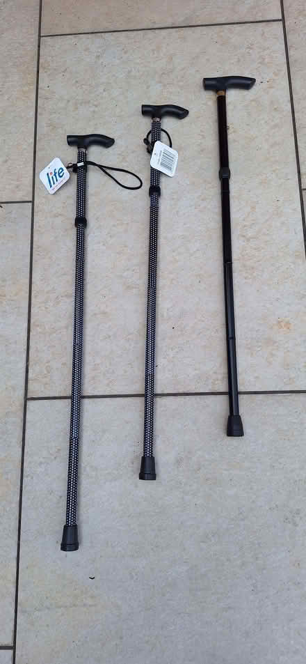 Photo of free Sticks (Beeston Rylands NG9) #1