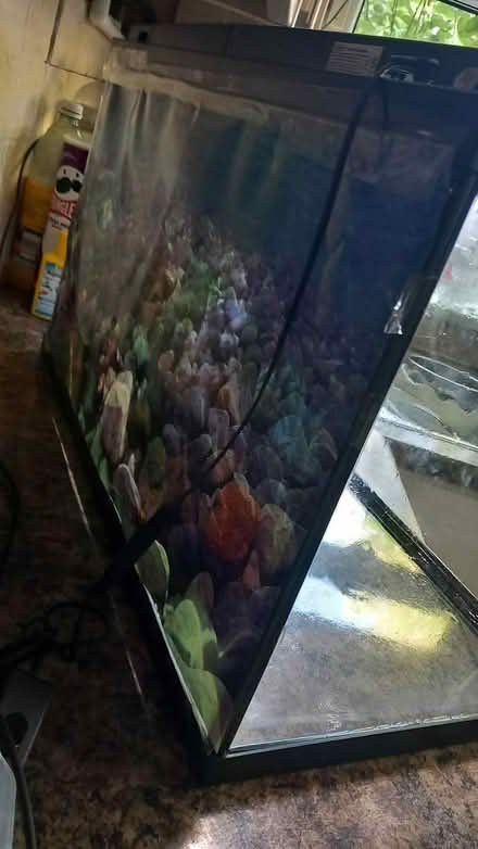 Photo of free Smelly fish tank needs good clean (OL12) #4
