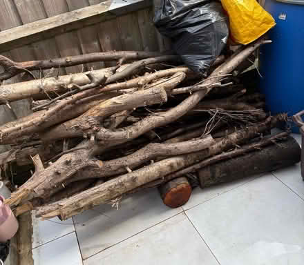 Photo of free Fire wood (Edmonton N18) #2