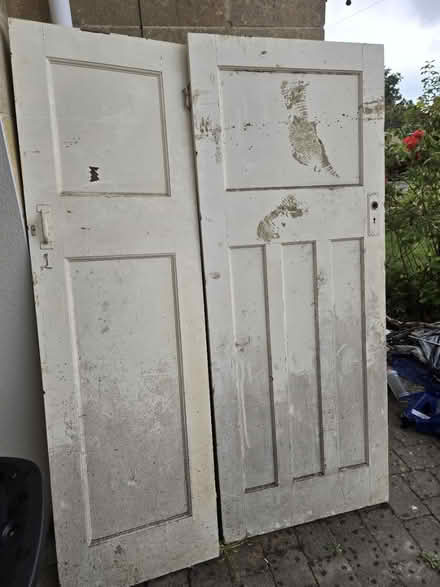 Photo of free Doors (Bath, BA1) #1