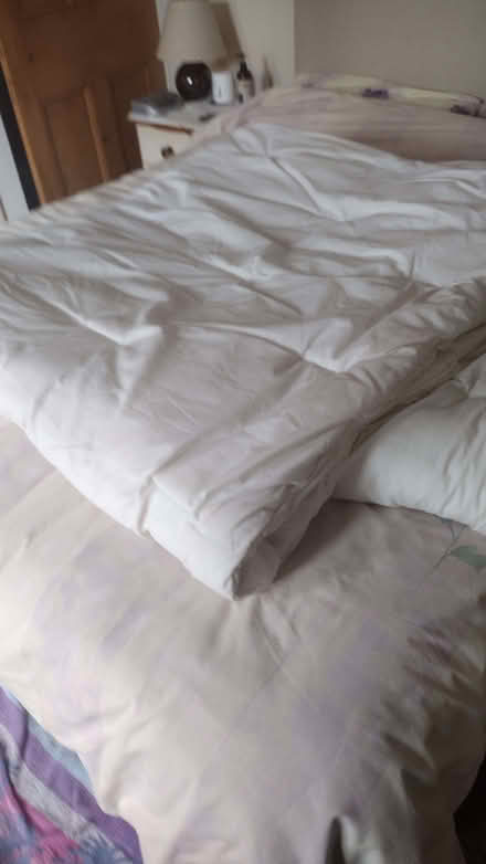 Photo of free Duvet king size (Carlisle CA1) #2
