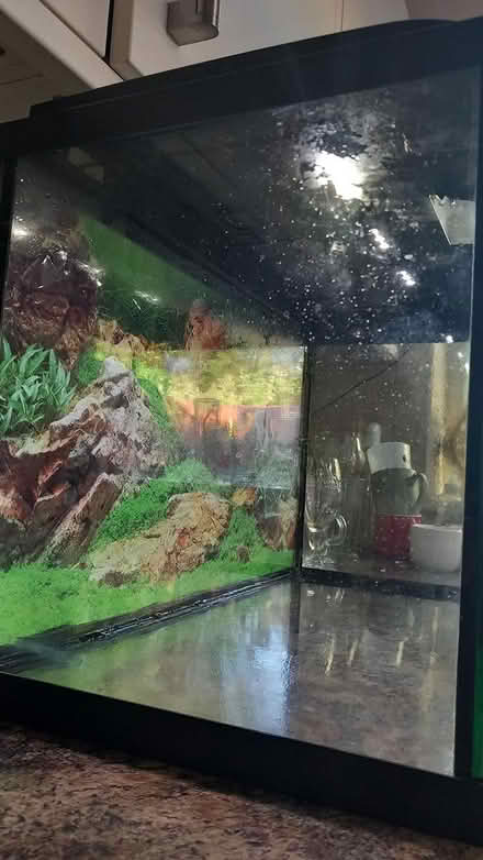 Photo of free Smelly fish tank needs good clean (OL12) #3