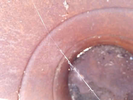 Photo of free tin drum 45 gallon (Folksworth) #3