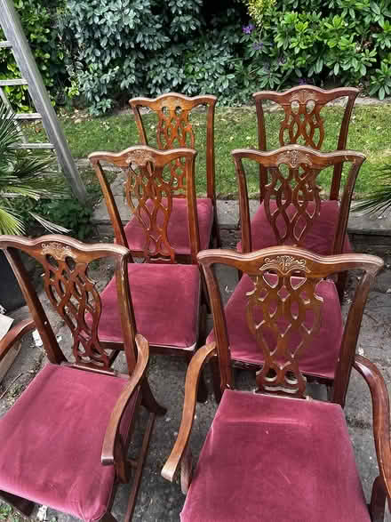 Photo of free Dining room chairs (Billericay CM12) #1
