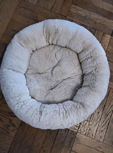 Photo of free pet bed (Windsor Terrace, Bklyn) #1