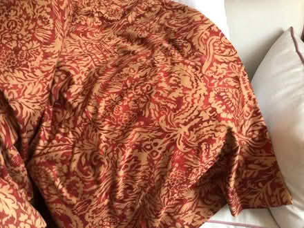Photo of free Curtains (EX3 topsham) #1