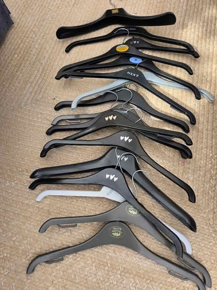 Photo of free Women's hangers (Woodmancote GL52 9UU) #1