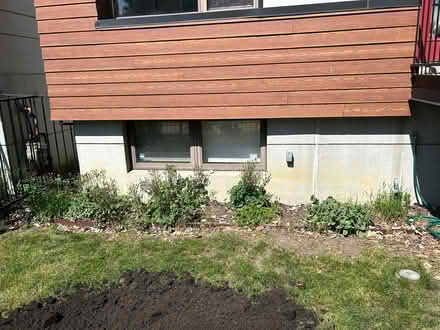 Photo of free Perennials (Humboldt Park) #1
