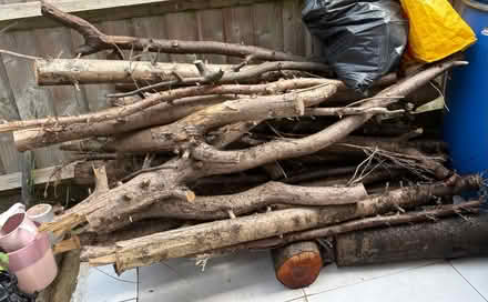 Photo of free Fire wood (Edmonton N18) #1