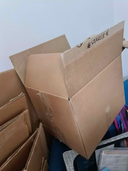 Photo of free Packing Boxes Large, Flattened (Hartington Road BN2) #1