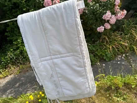 Photo of free Cot Bumper (Norbury CR7) #2