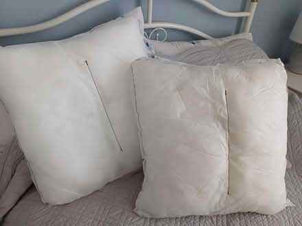 Photo of free Scatter cushion pads (Ty Canol, Cwmbran.) #1