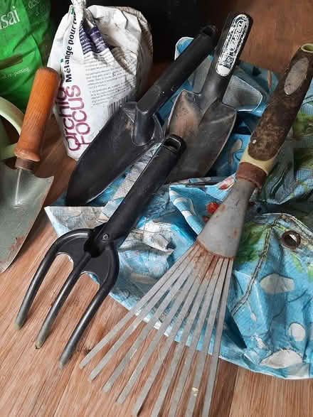 Photo of free Garden stuff and dustbin (Green Street Green BR6) #3