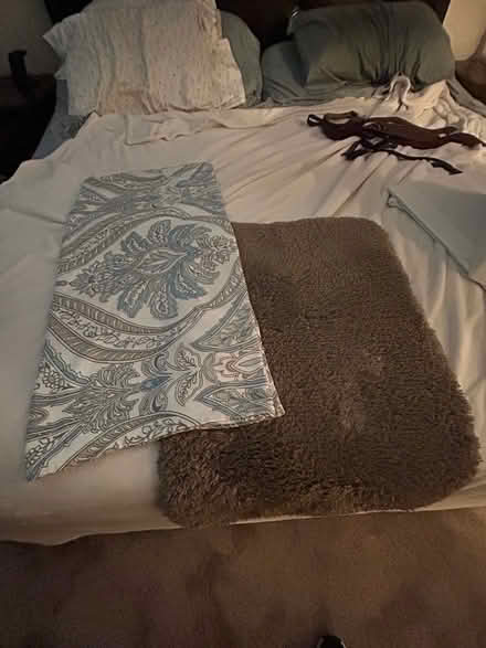 Photo of free F/QU Coverlet & Shower Crtn w/ rug (Catonsville) #1