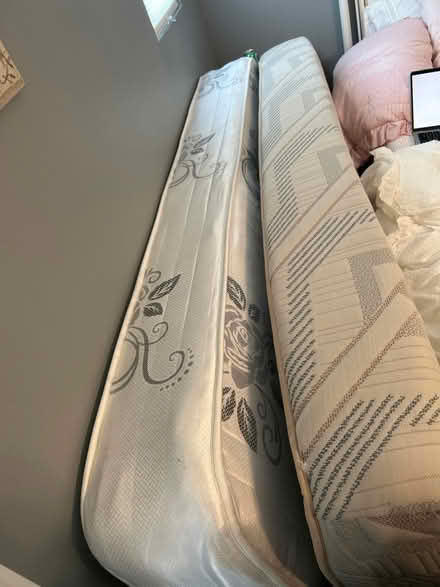 Photo of free 2 twin mattresses (39 Laconheath Ave) #1