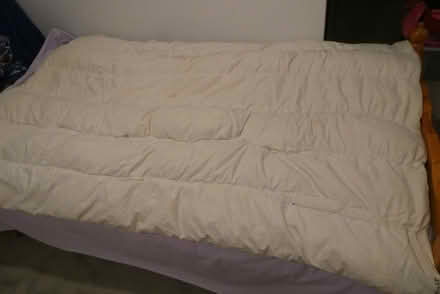 Photo of free Quilt doona - single bed feather (Campbell ACT) #1