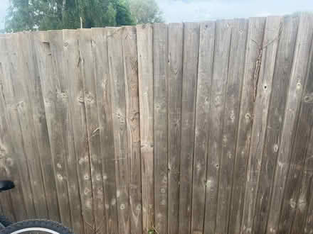 Photo of free Fence panels (TW19) #3